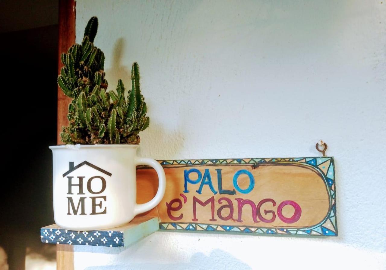 Hermoso Palomino Exterior foto